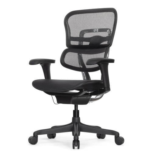 Ортопедическое кресло Falto Ergohuman 2 Project Ортопедическое кресло Falto Ergohuman 2 Project